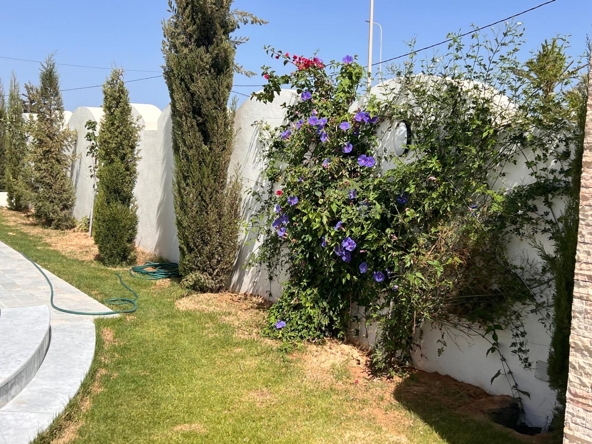 Villalina Haut Standing Djerba Ajim Экстерьер фото